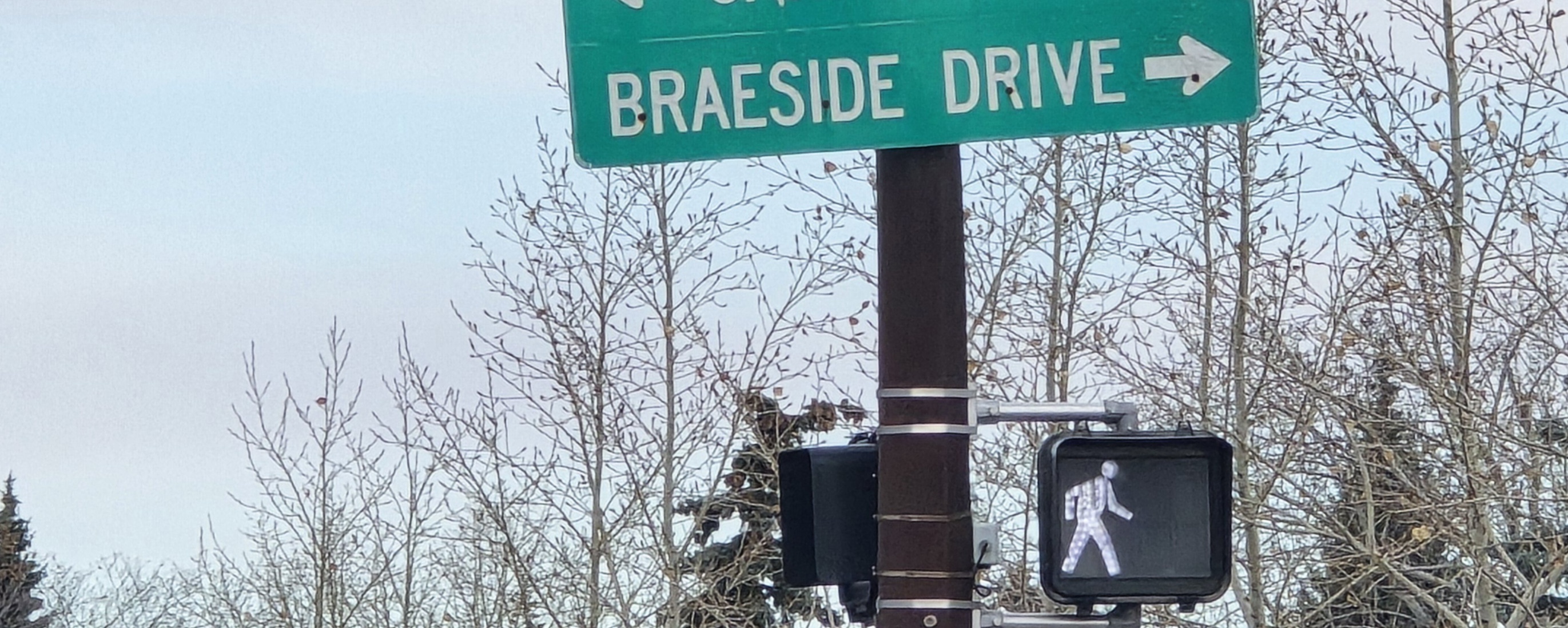 Braeside homes for sale — Calgary, Alberta neighbourhood photo