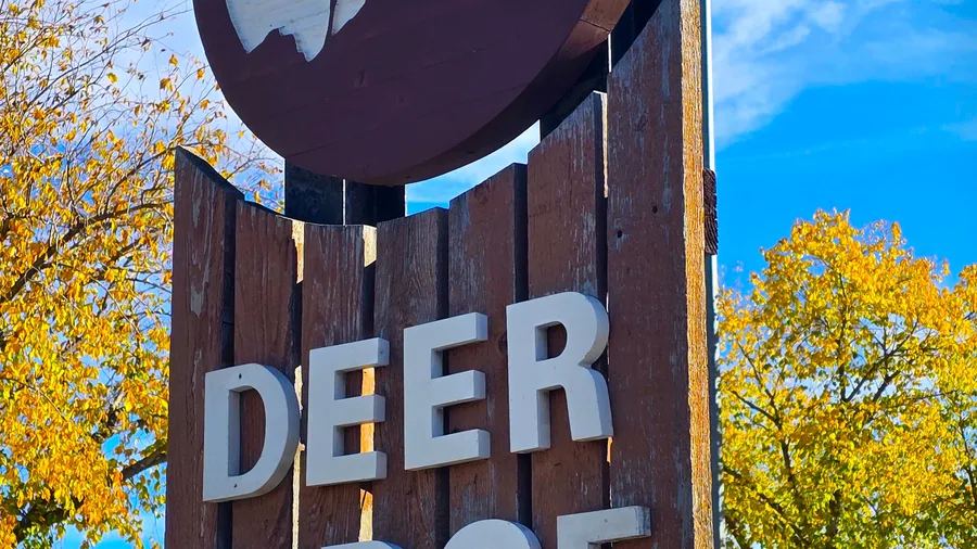 Deer Ridge homes for sale — Calgary, Alberta neighbourhood photo