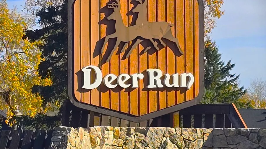 Deer Run homes for sale — Calgary, Alberta neighbourhood photo