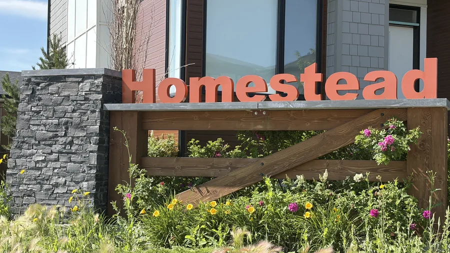 Homestead homes for sale — Calgary, Alberta neighbourhood photo